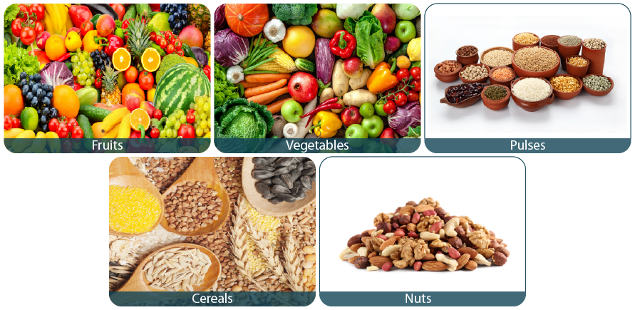 Where Do We Get Our Food From where-do-we-get-our-food-from