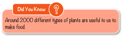 Crop and Medicinal Plants