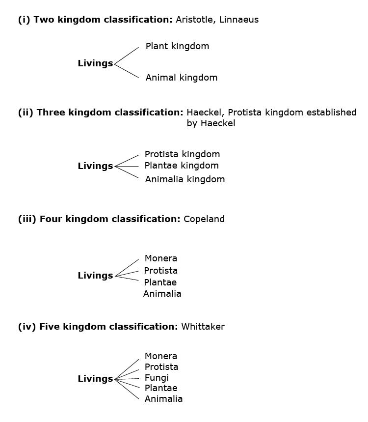 three kingdom classification system