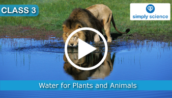 Importance of Water to Animals and Plants Importance of Water to Animals and Plants