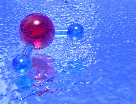 Hydrogen bonds contribute to many of the unique features of water.