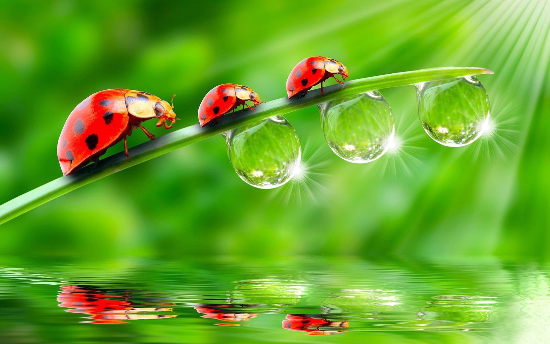 Photosynthesis: A solar powered rearrangement of matter.