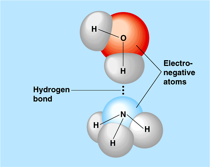 Polar bond