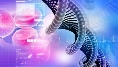 DNA provides the molecular basis of life.