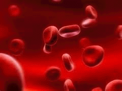 The pH levels in the blood are required to stay neutral, which is at a level of 7.