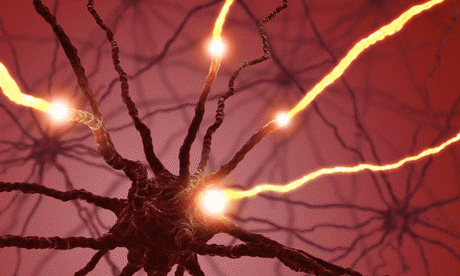  Neurotransmitters play a key role in cell signaling.