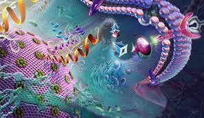 Hormonal signaling