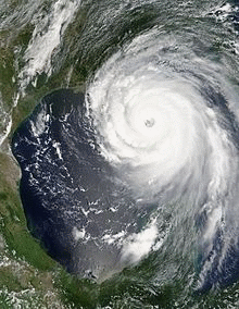 Population viability analysis depends on natural disasters