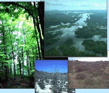 Biomes