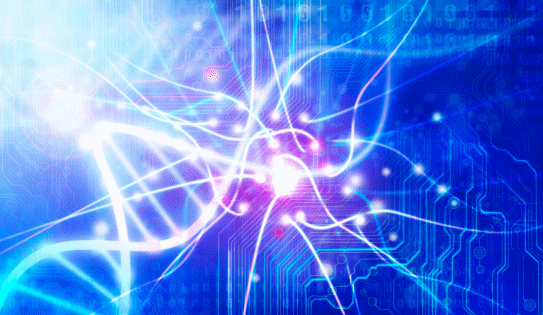 Microevolution reflects changes in DNA sequences and allele frequencies within a species over time.