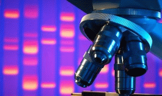 DNA profiling