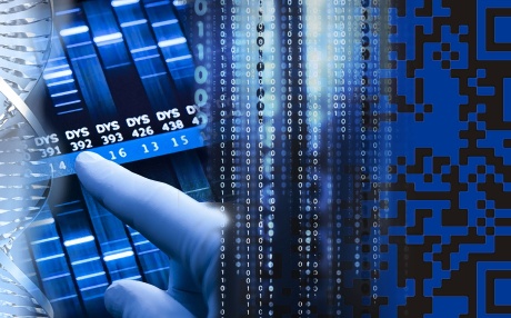 DNA library is a collection of DNA fragments
