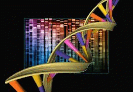 A genomic library