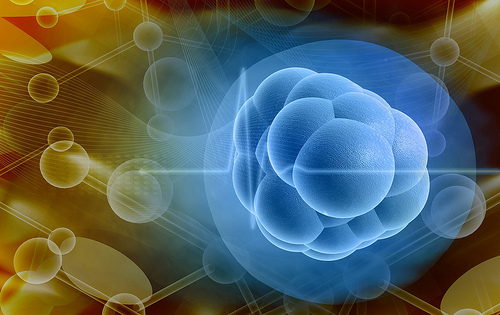 Stem cells are biological cells found in all multicellular organisms