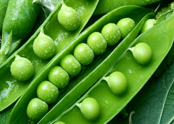 Mendel's Peas