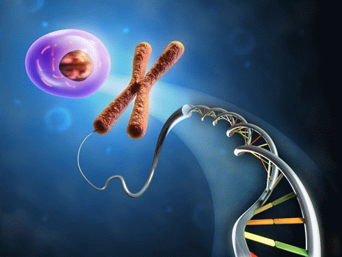 Resultado de imagen de molecular genetic