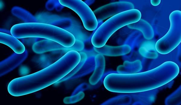Bacterial diseases include any type of illness caused by bacteria.