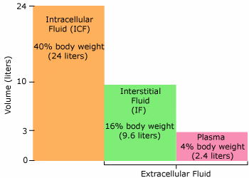 Body fluid compartments