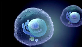 Digital illustration of human cell.