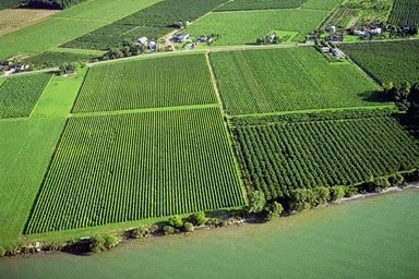 Agricultural practices