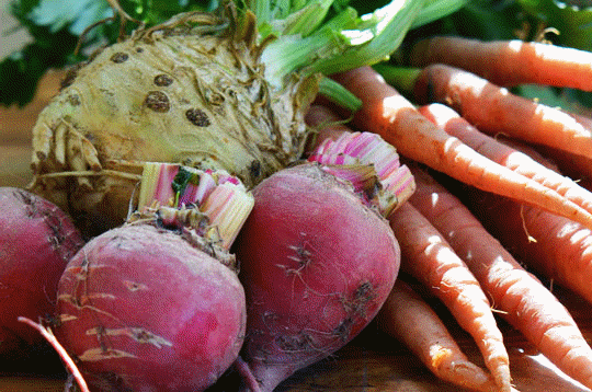  Examples of storage roots.