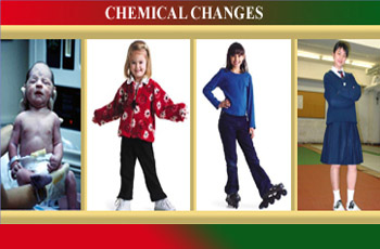 Chemical Changes