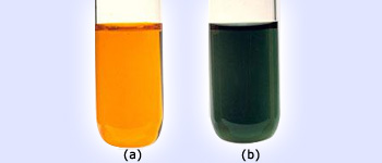 Change in color