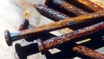 Rust on Iron nails
