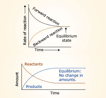 Chemical equilibrium nacl