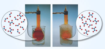 Effect of Temperature on equilibrium