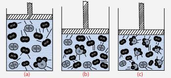 Effect of Pressure on equilibrium