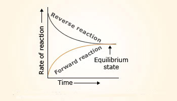 Attainment of equilibrium in reversible reaction