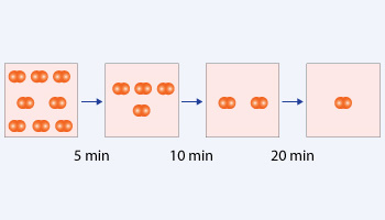 Second order reaction