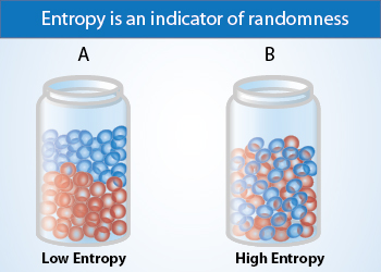 Entropy