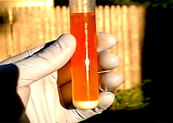 Sodium perxenate (Na4XeO6)