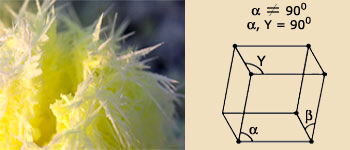 Monoclinic sulfur