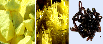 Three major allotropes of Sulfur