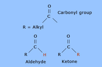 Aldehyde has one alkyl group, whereas ketone has two alkyl groups.