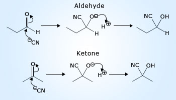 Nucleophilic attack on carbonyl group