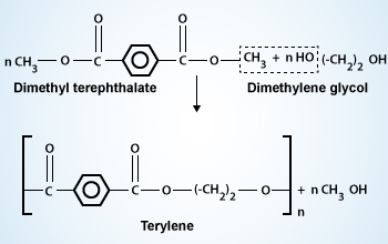 Polyester