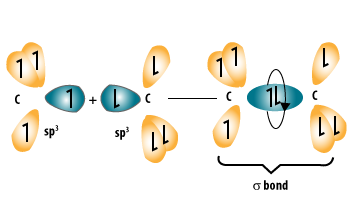 Carbon–Carbon bonding in Alkane.