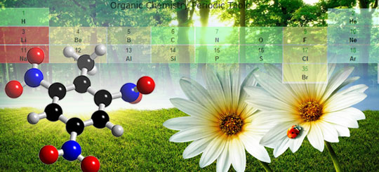 The organic chemist’s periodic table 