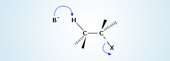 Abstraction of hydrogen by a base