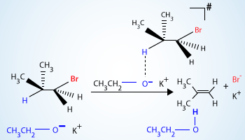 Elimination reaction of isobutylbromide with potassium ethoxide in ethanol.