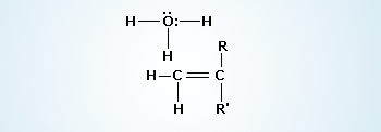 Formation of an Alkene(II step)