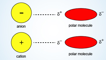 Image Showing Iondipole Forces
