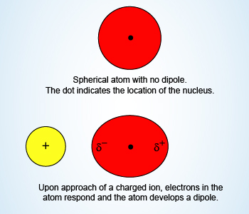 Example Showing IonInduced Dipole Forces
