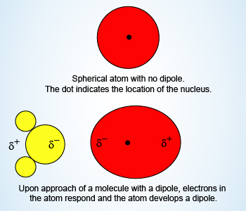 Example Showing DipoleInduced Dipole Forces
