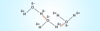 Hydrogen bonding in water