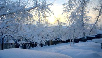 When temperature of the atmosphere decreases to less than 0°C water vapor present in atmosphere freezes to ice resulting the outer surfaces covered with ice.